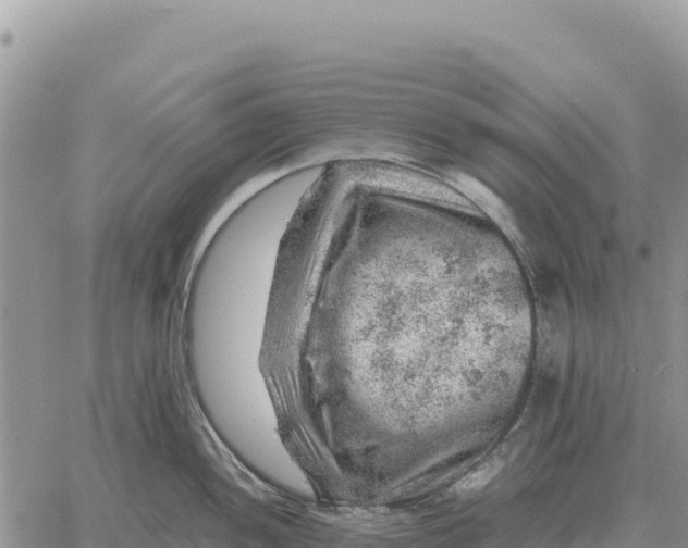 X0000061111052200512091812