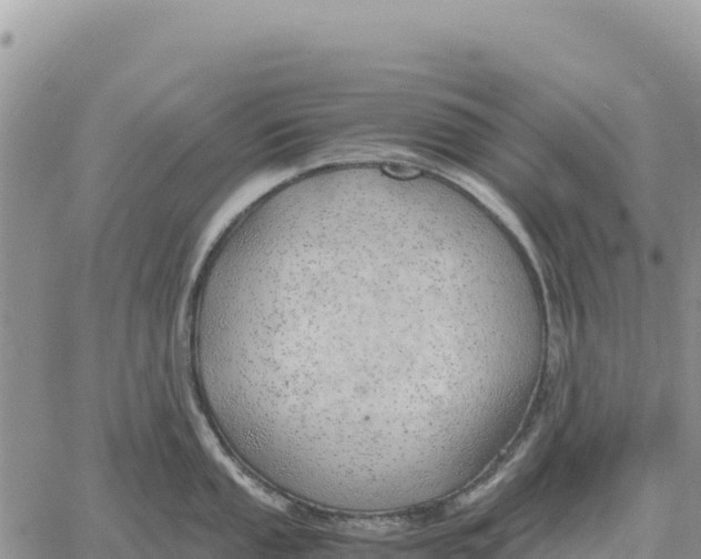 X0000061111053200512091812