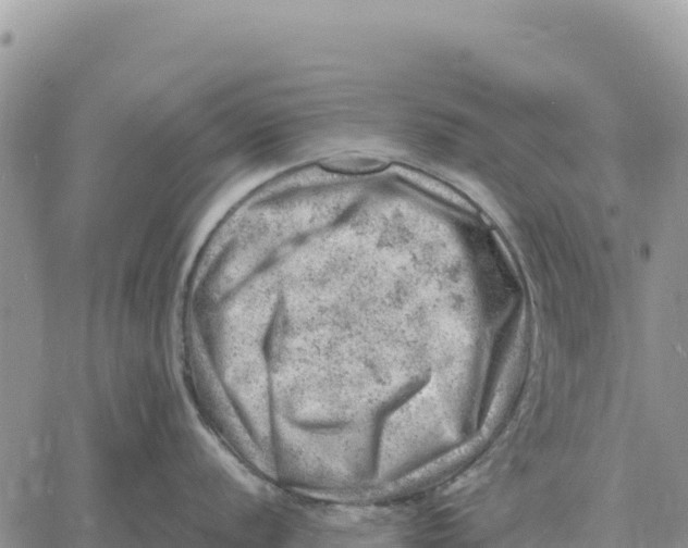 X0000061111056200512091812