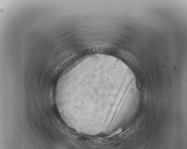 X0000061111060200512091811