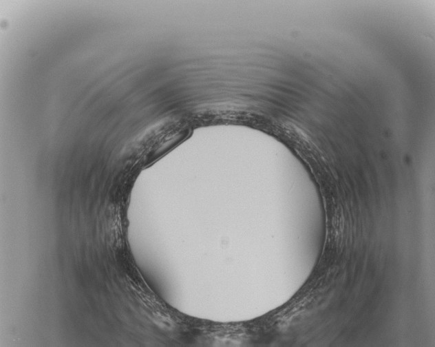 X0000061111062200512091811