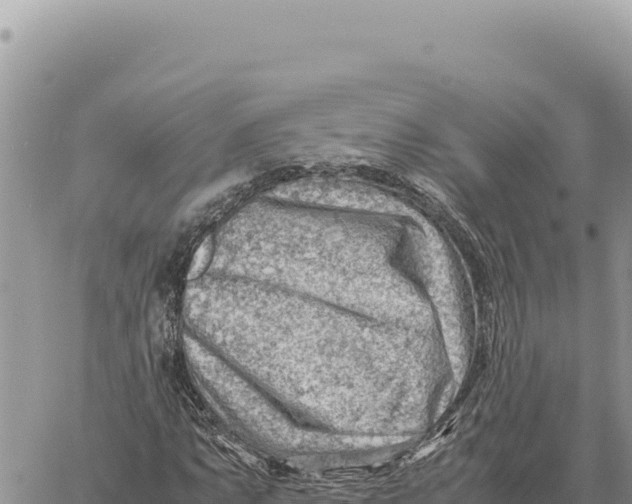 X0000061111063200512091811