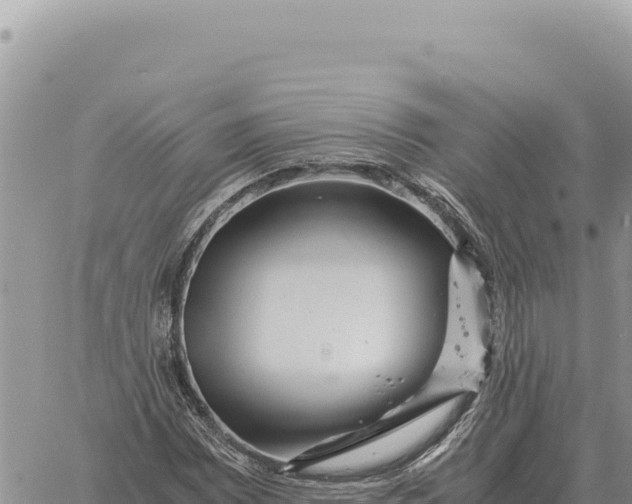 X0000061111065200512091811