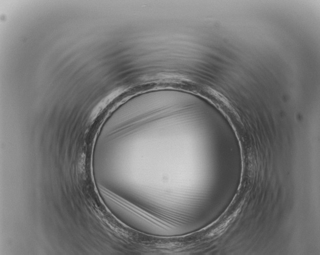 X0000061111066200512091811