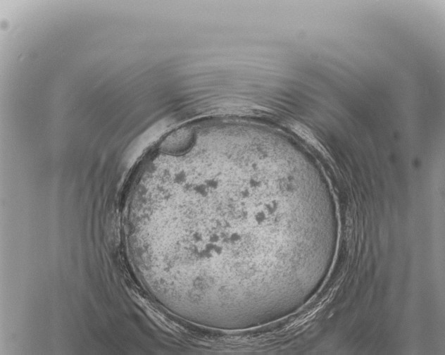 X0000061111067200512091811