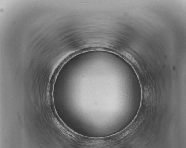 X0000061111068200512091811