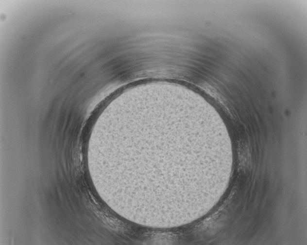 X0000061111070200512091811