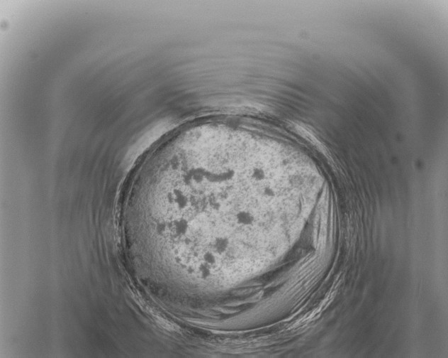 X0000061111071200512091811