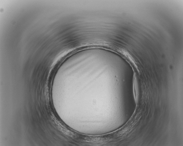 X0000061111072200512091811