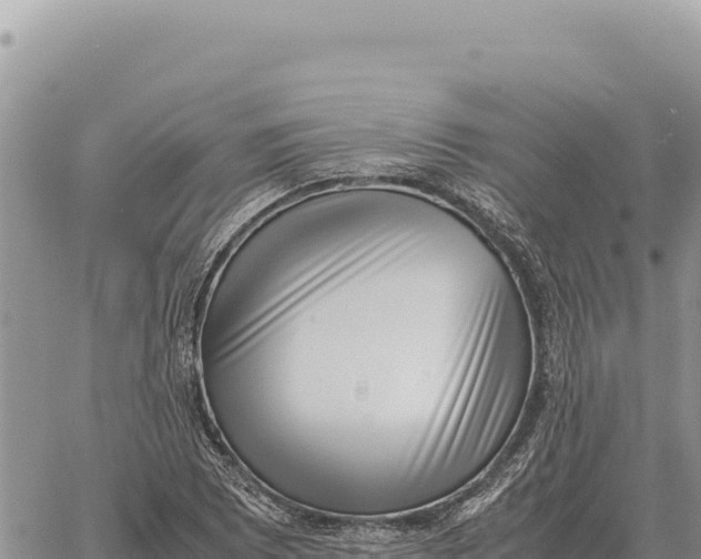 X0000061111073200512091811