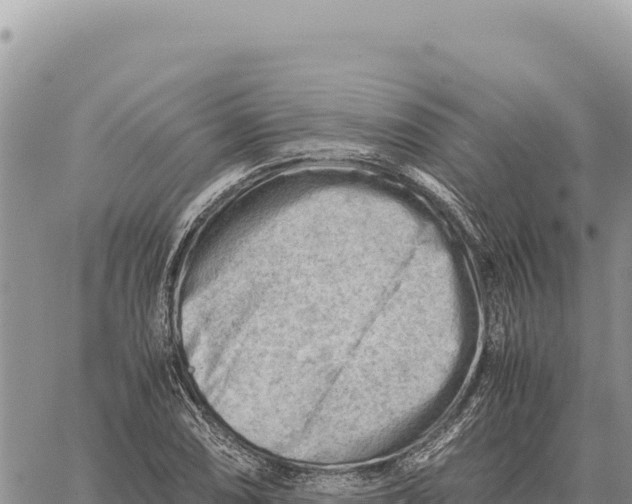 X0000061111074200512091811