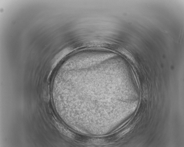 X0000061111075200512091811