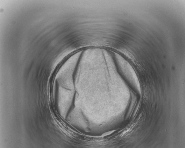 X0000061111078200512091811