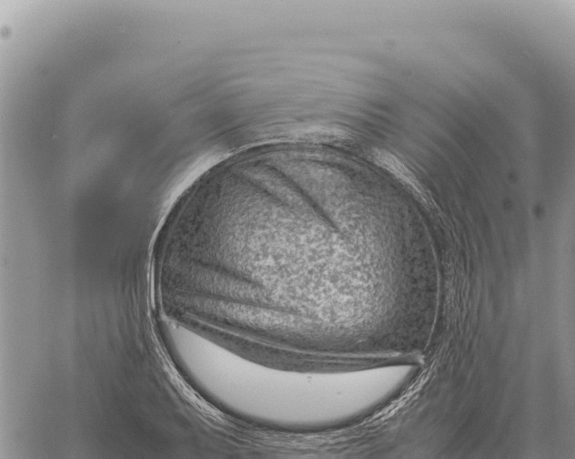 X0000061111079200512091811