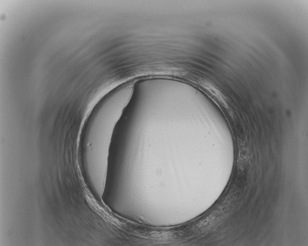 X0000061111080200512091811