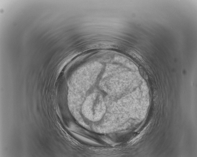 X0000061111081200512091811