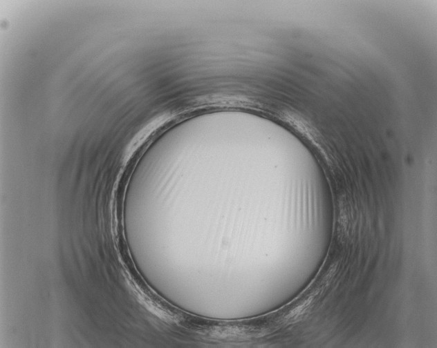 X0000061111082200512091811