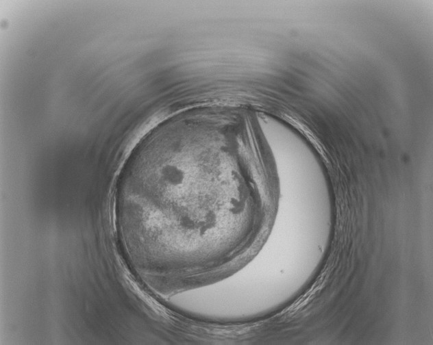 X0000061111083200512091811