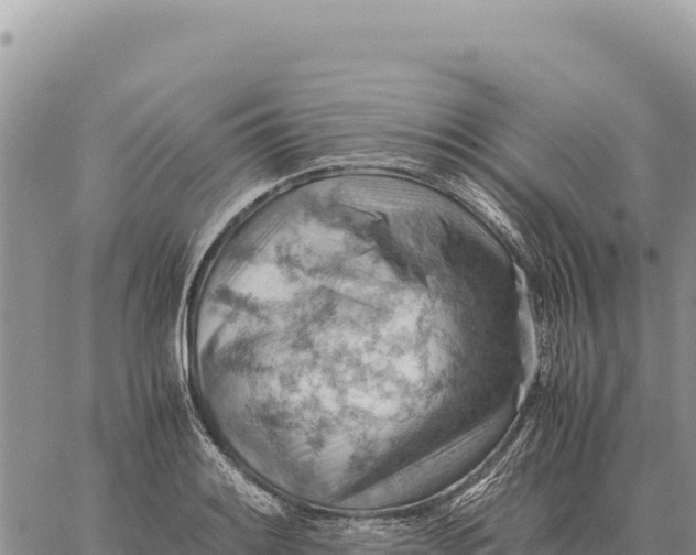 X0000061111084200512091811