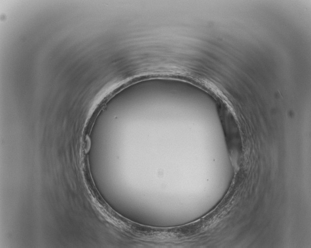 X0000061111085200512091811