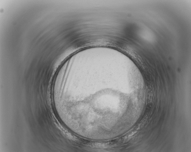 X0000061111086200512091811