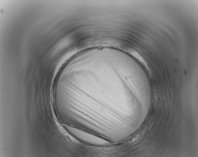 X0000061111088200512091811