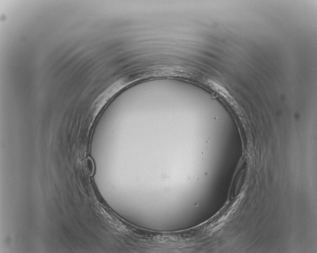 X0000061111089200512091811