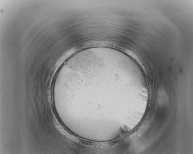 X0000061111090200512091811