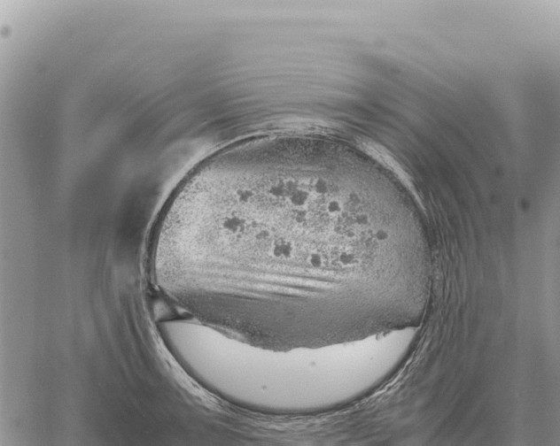 X0000061111091200512091811