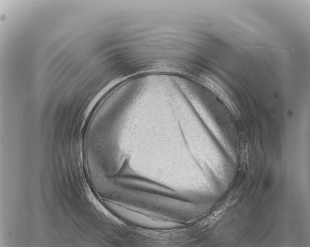 X0000061111092200512091811