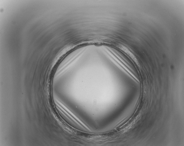 X0000061111093200512091811