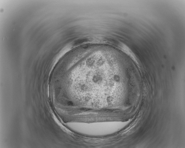 X0000061111095200512091811