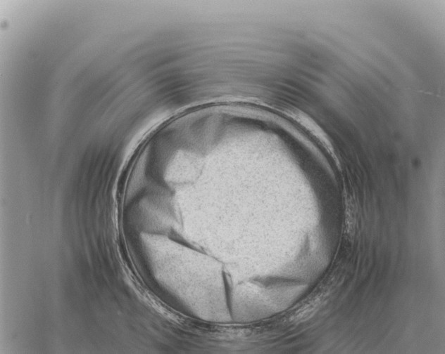 X0000061111096200512091811