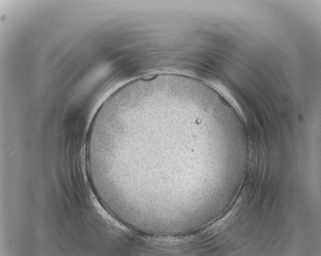 X0000061111100200512091811