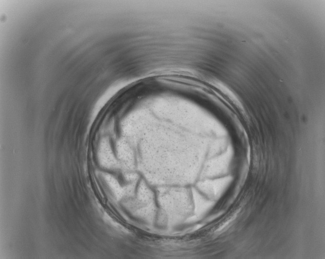 X0000061111102200512091811