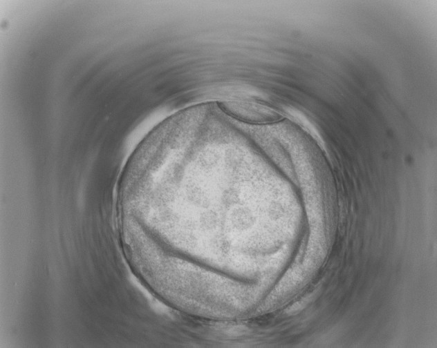 X0000061111103200512091811