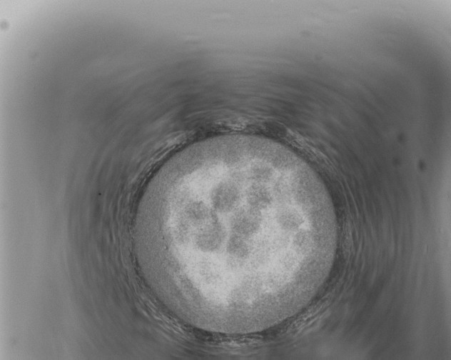 X0000061111105200512091810