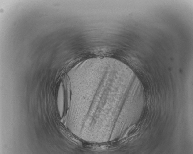 X0000061111106200512091810