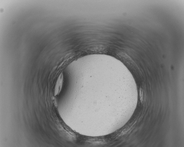 X0000061111107200512091810