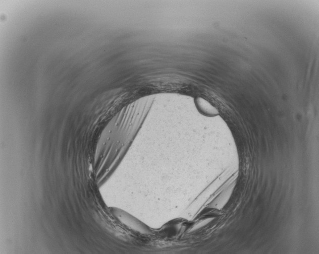 X0000061111108200512091810