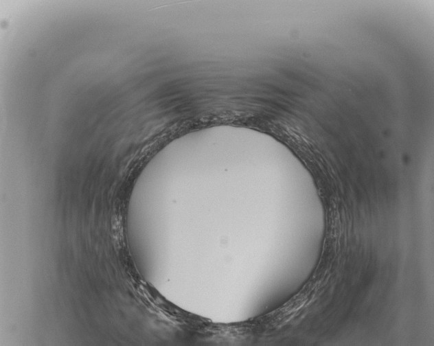 X0000061111109200512091810