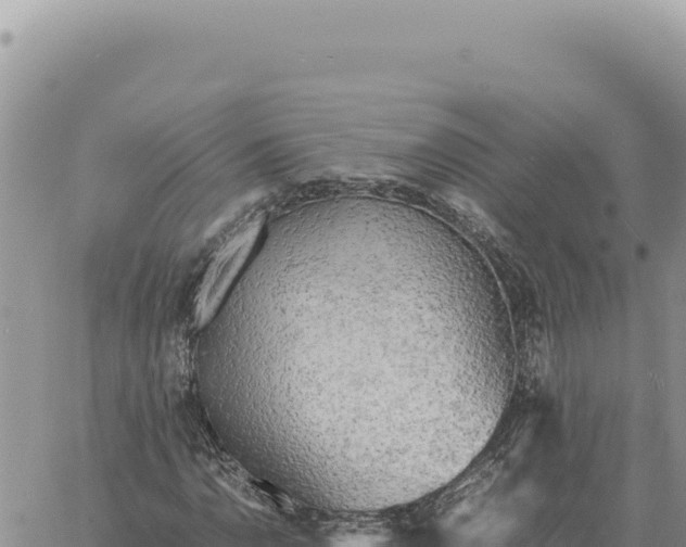 X0000061111110200512091810