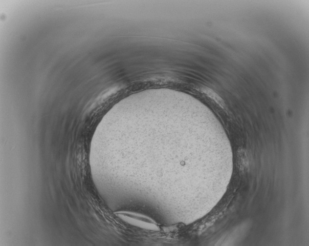 X0000061111111200512091810