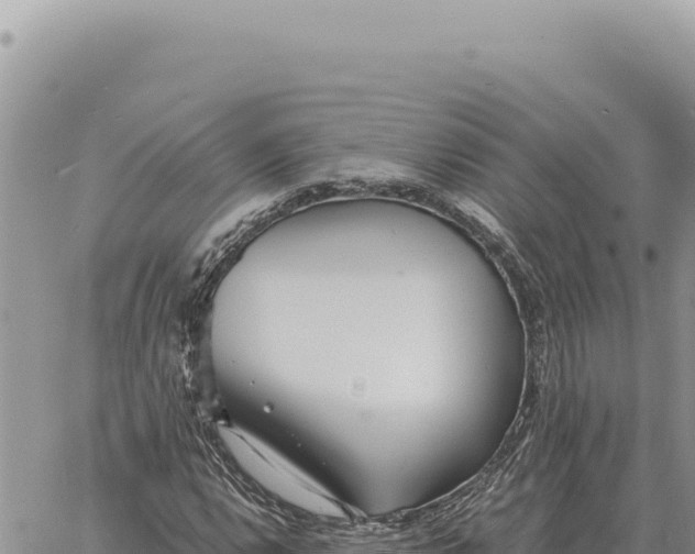 X0000061111112200512091810