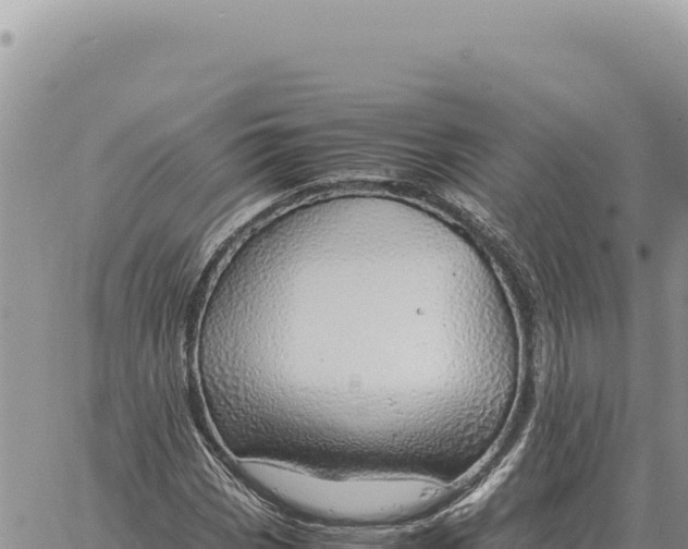 X0000061111113200512091810