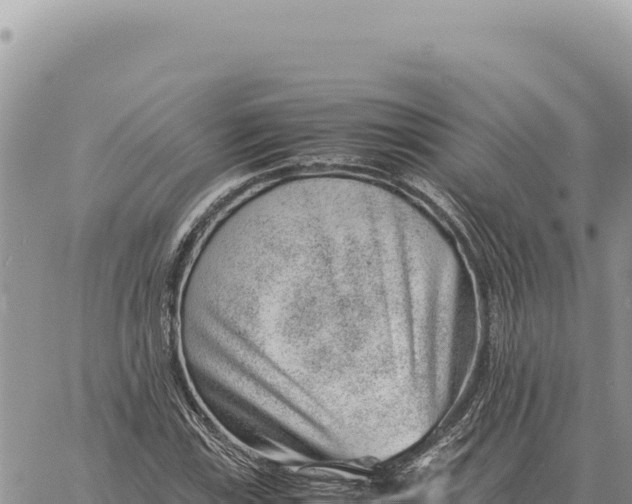 X0000061111115200512091810