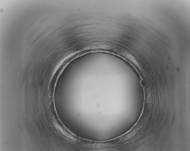 X0000061111116200512091810