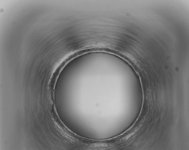 X0000061111118200512091810