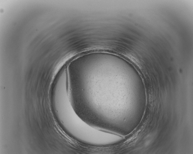 X0000061111119200512091810