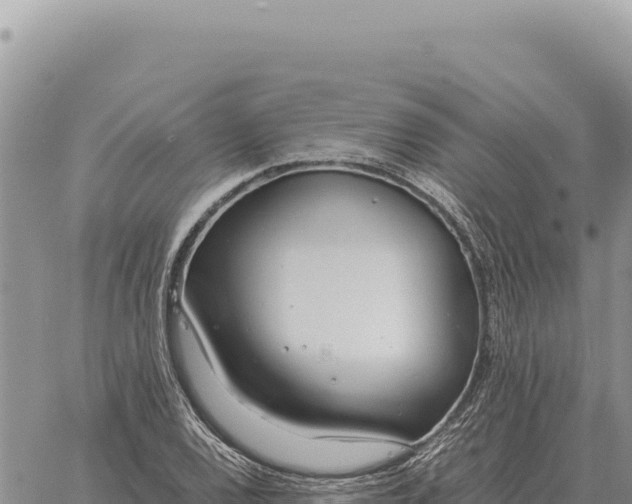 X0000061111120200512091810